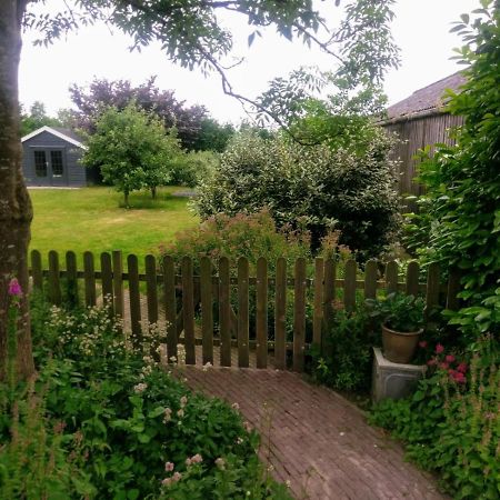 Nabij De Molen Bed & Breakfast Wijdenes ภายนอก รูปภาพ